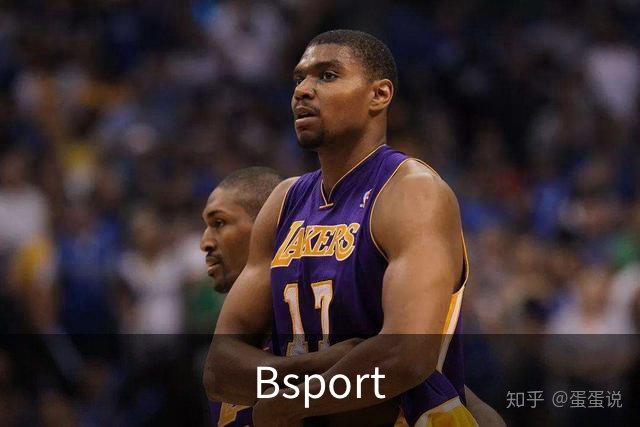 Bsport公司简介